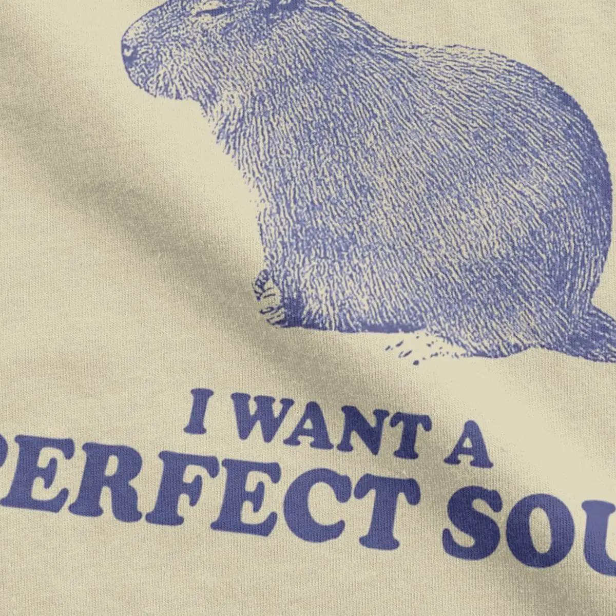 Capybara I Want A Perfect Body I Want A Perfect Soul T Shirts Men Cotton T-Shirts Novelty Tees Short Sleeve Tops Printed