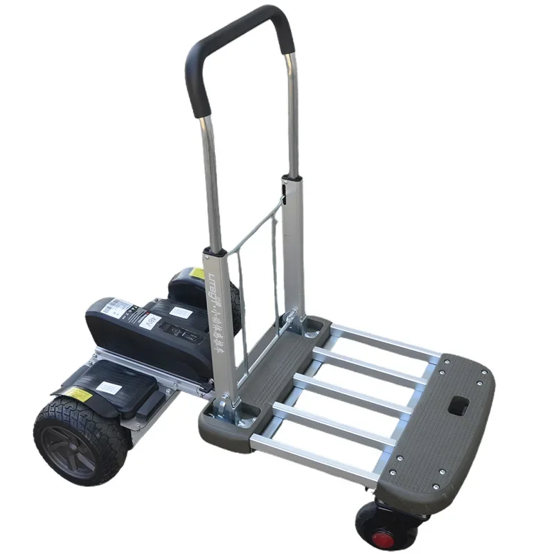 Self Balance Scooters Foldable Electric Trolley Dual Brushless 15-38km D1T 150-200KG 36V 400W-800W 48V featuring Motor Load