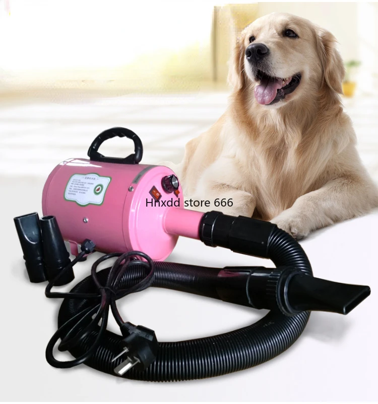 Rate Quiet Dog Hair Blower Small Teddy Golden Retriever Hair Dryer