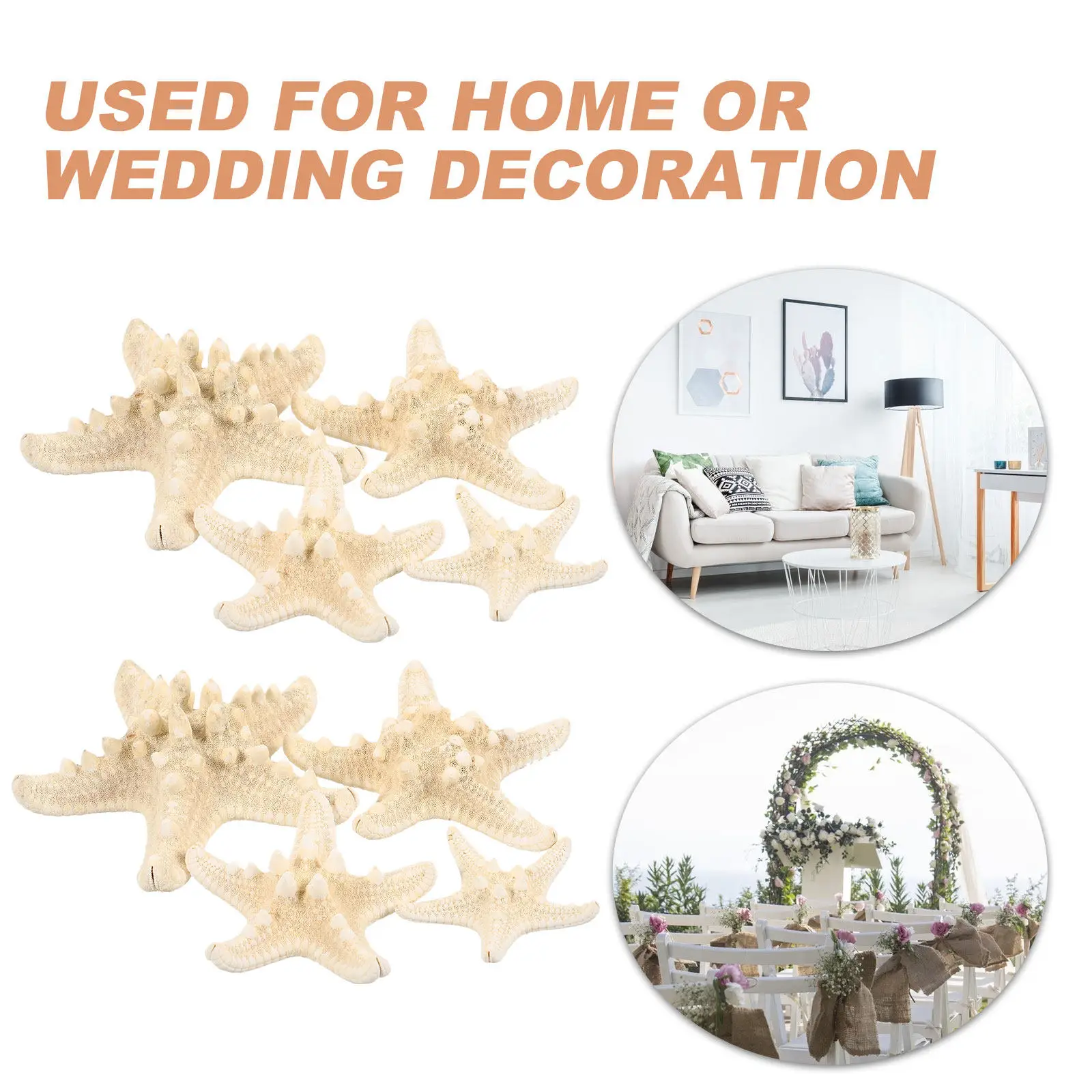 8pcs Bread Starfish Decorations 3 5cm 5 7cm 7 9cm 9 12cm Ocean Animals Models Sea Animal Figures Home Wedding for Decoration