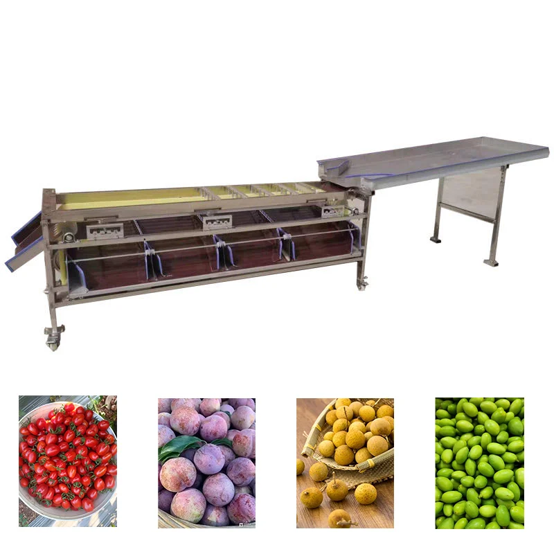 Most Practical Tomato Sorting Machine by Quality Tomato Size Sorting Machine Small Tomato Sorting Machine