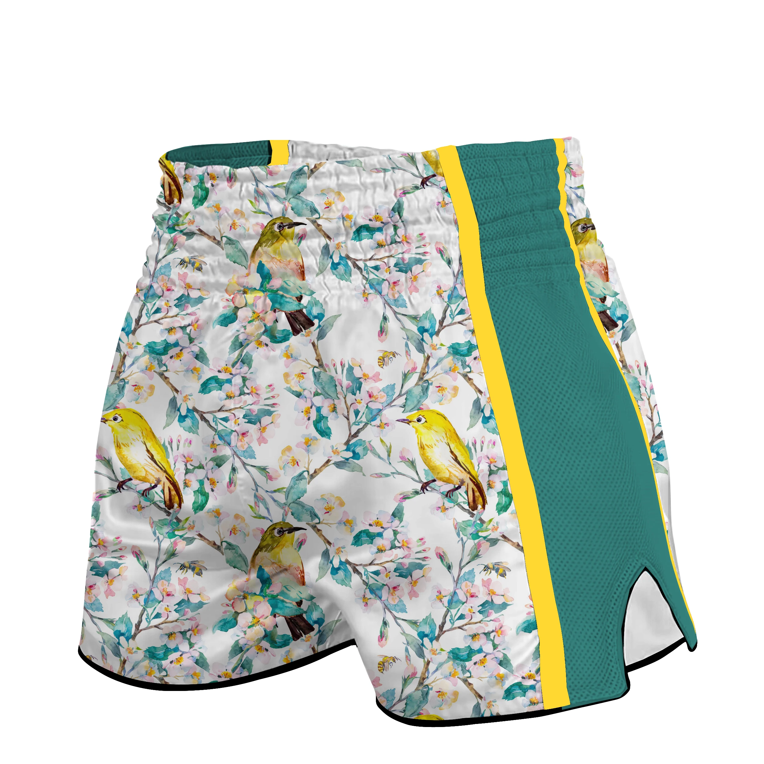 Muay Thai Shorts MMA Printed Fight Kickboxing Shorts Men, Women, and Kids Martial Arts Wrestling BJJ MMA Training Pants