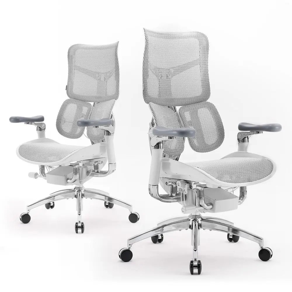 

Doro S300 Ergonomic Office Chair, Computer Chair, Gaming Chair with Dual Dynamic Lumbar Support, 6D Coordinated Armrests, Adjus