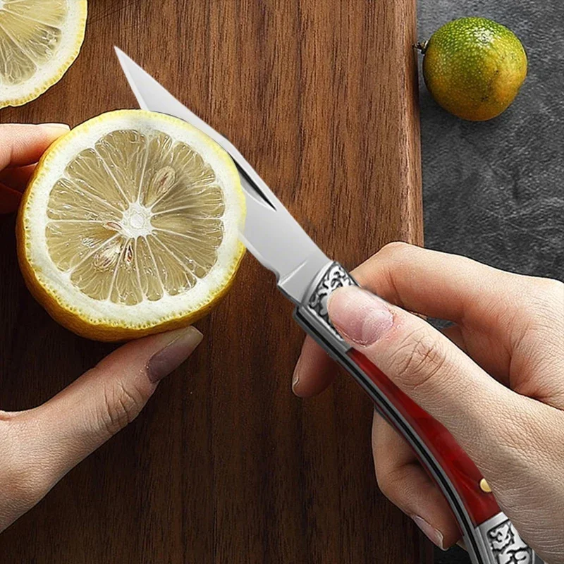 WXCOO Stainless Steel Mini Pocket Fruit Knife with Non-slip Handle Multifunctional Folding Fruit Peeling Kitchen Knife