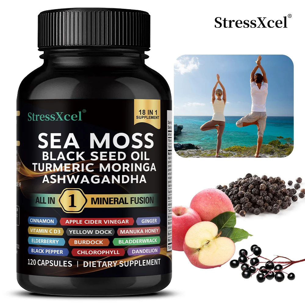 كبسولات الزنجبيل لزيت البذور السوداء من طحالب البحر، تعزز المناعة والطاقة، تخفيف التوتر، وتحسين الإمساك