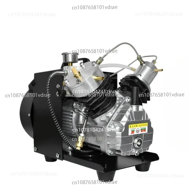

TXEDM041 4500Psi 300Bar PCP Воздушный компрессор Воздушный компрессор высокого давления с мини-двойным баллоном для подводного плавания с винтовкой