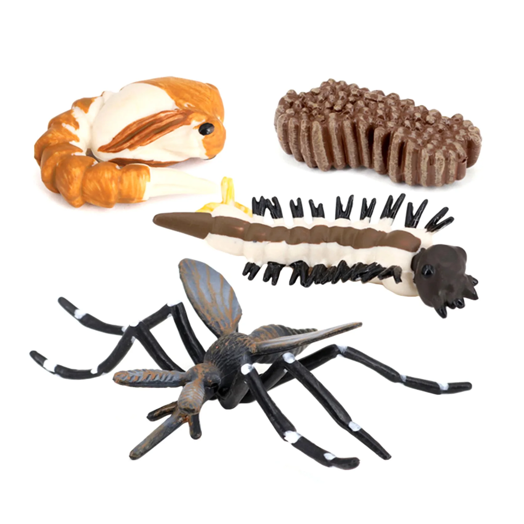 Simulation Animals Growth Cycle Mosquito Insect Growth Cycle Model Kids Educate Cognitive Toy Black Mosquito