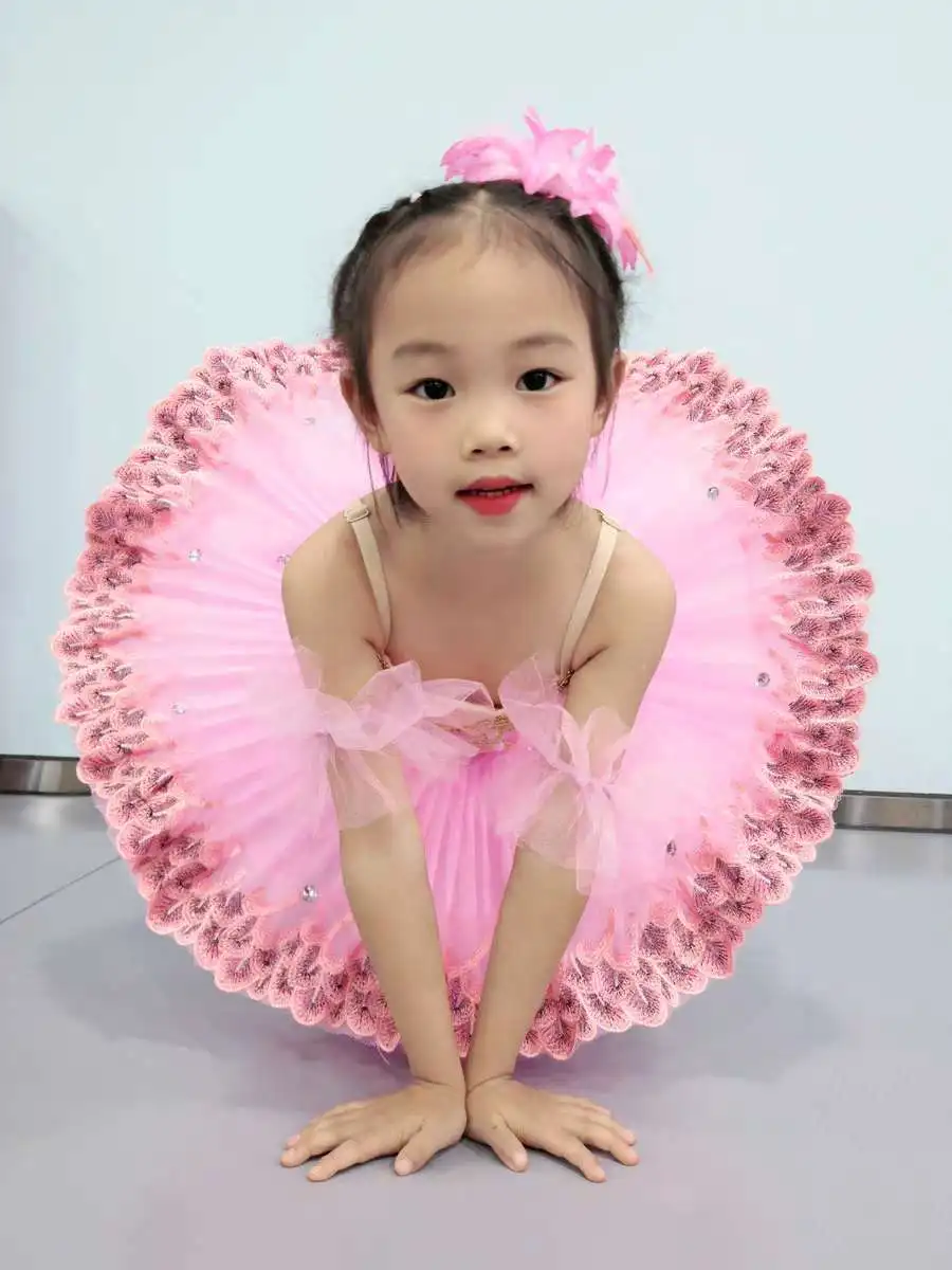 Tutú de Ballet profesional rojo para niñas, vestido de Ballet, disfraces de actuación del lago de los cisnes para niños, tutú de panqueques, vestido de baile para mujeres adultas