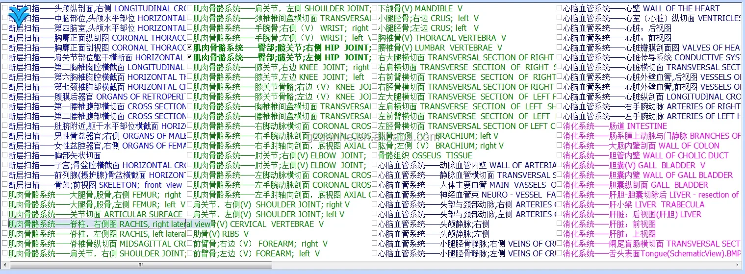 Natural health bioplasm 3D 9d nls body health analyzer cell diagnostics sub body health analyzer with headset