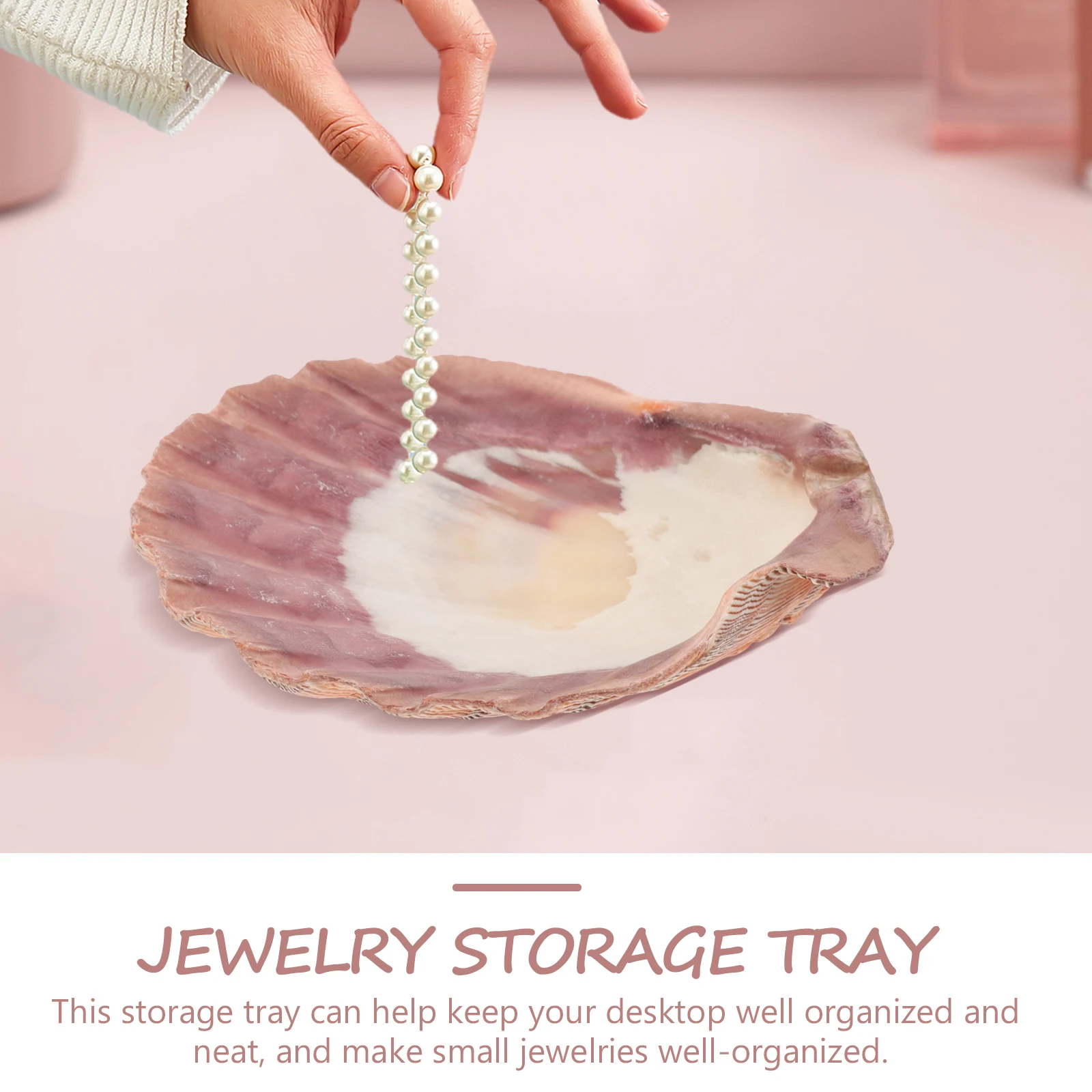 

Natural Seashell Jewelry Tray Fan Scalloped Design Storage Dish Organizer Display Plate Desktop Decoration Trinket Bowl Vanity