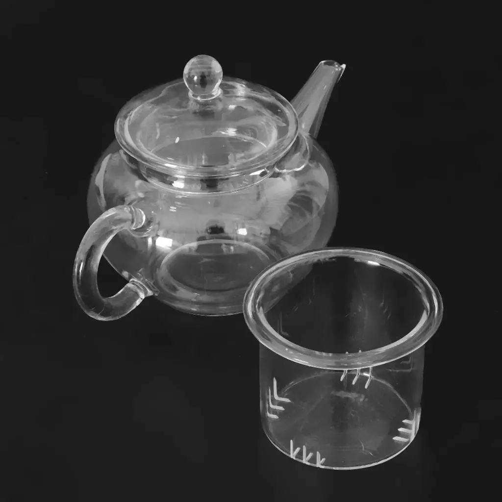 Heat Resistant Glass Teapot with Infuser Coffee Tea Leaf Herbal Set 250ml