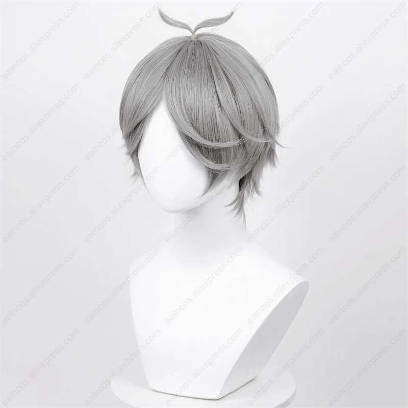 Perruque Cosplay Synthétique Courte Gris Argenté, 30cm, Anime Sugawara, avec Degré de Chaleur