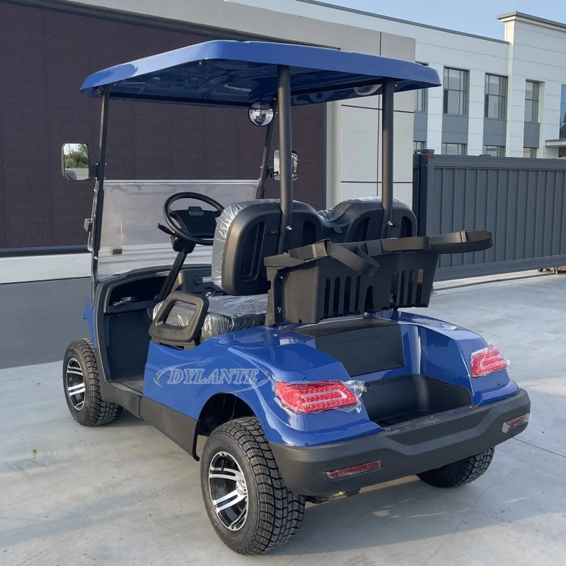 High-End Quality 4000w Golf Cart 2 Seat Prices Electric Golf Car with Rain Cover Custom Golf Cart