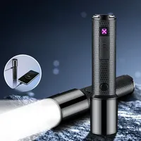 Latest Multi functional Power Bank Windproof Double Arc Pulse USB Lighter Outdoor Keychain Flashlight Type-C Electric Lighters