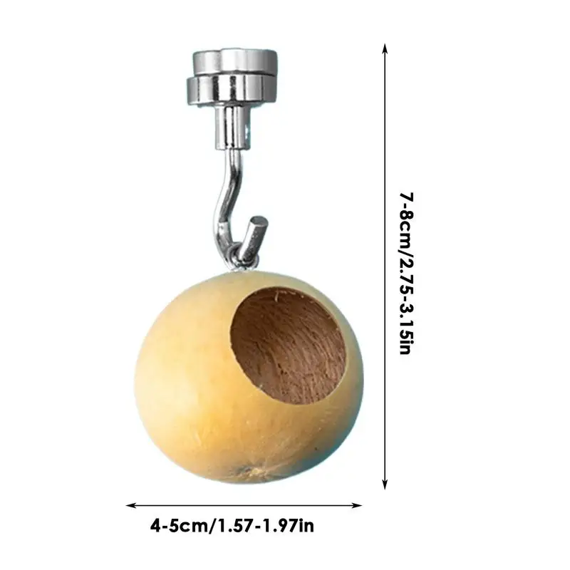 Jumping Spider House | Jumping Spider Hiding Nest With Magnetism | Natural Gourds Jumping Spider Enclosure For Jumping Spiders