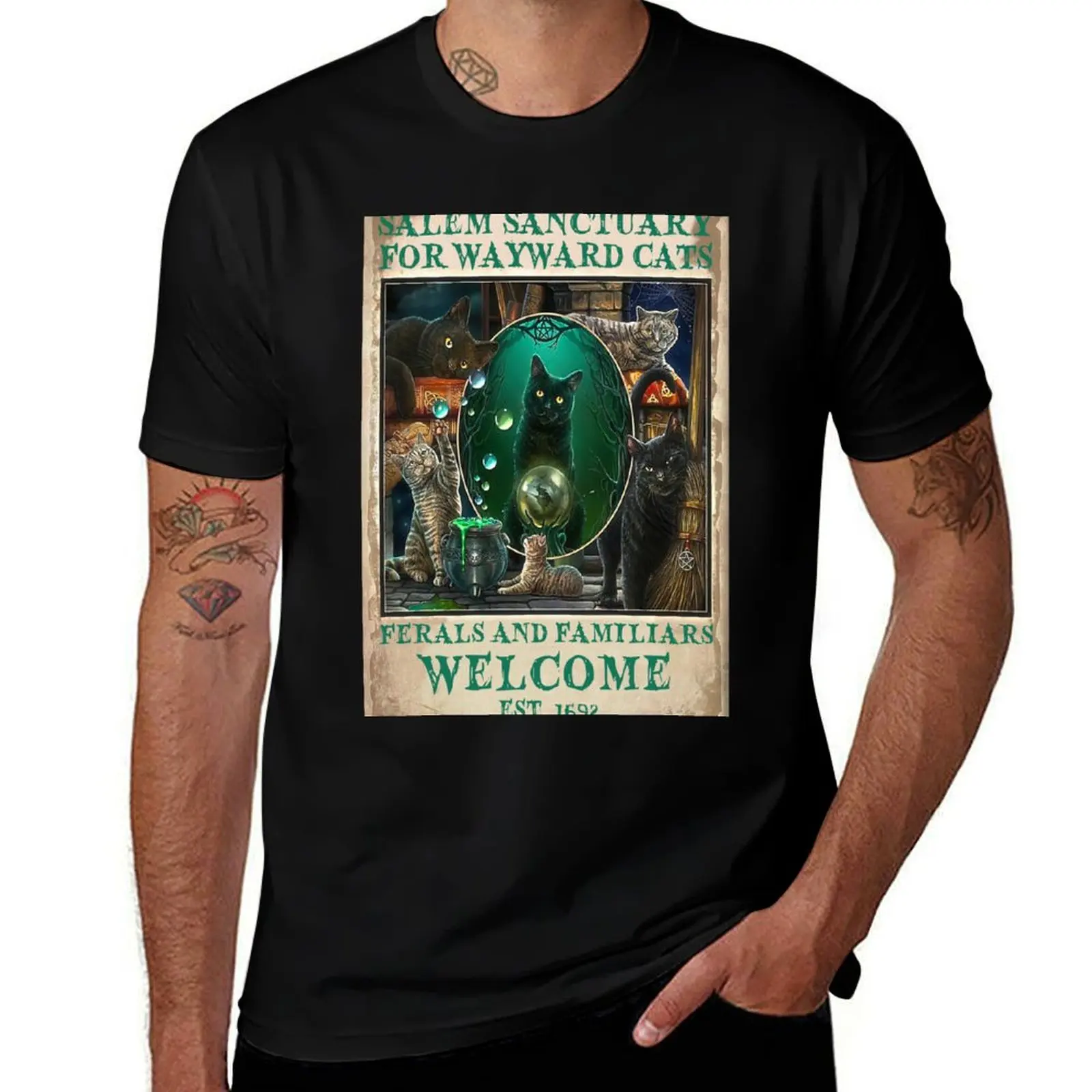 Black Cat Salem Sanctuary For Wayward Cats Ferals Est 1962 T-Shirt Simple Solid Color Crew Neck Tee T-Shirt