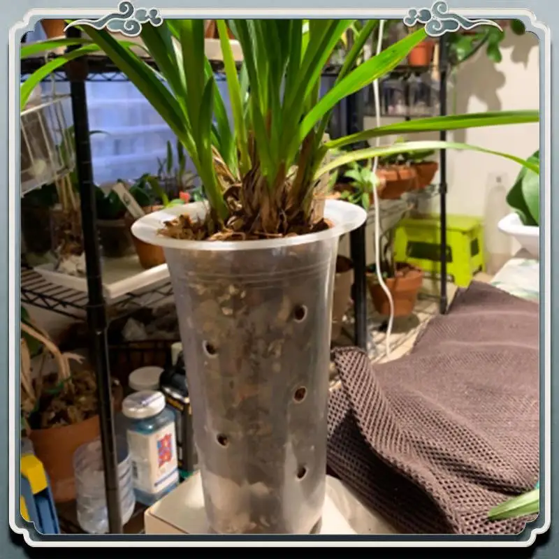 Durable 5 Inch 8Pcs Clear Flower Pot Planter Plastic Orchid Pot With Holes Tall Plant Pots For Home Flower Shop Decoration