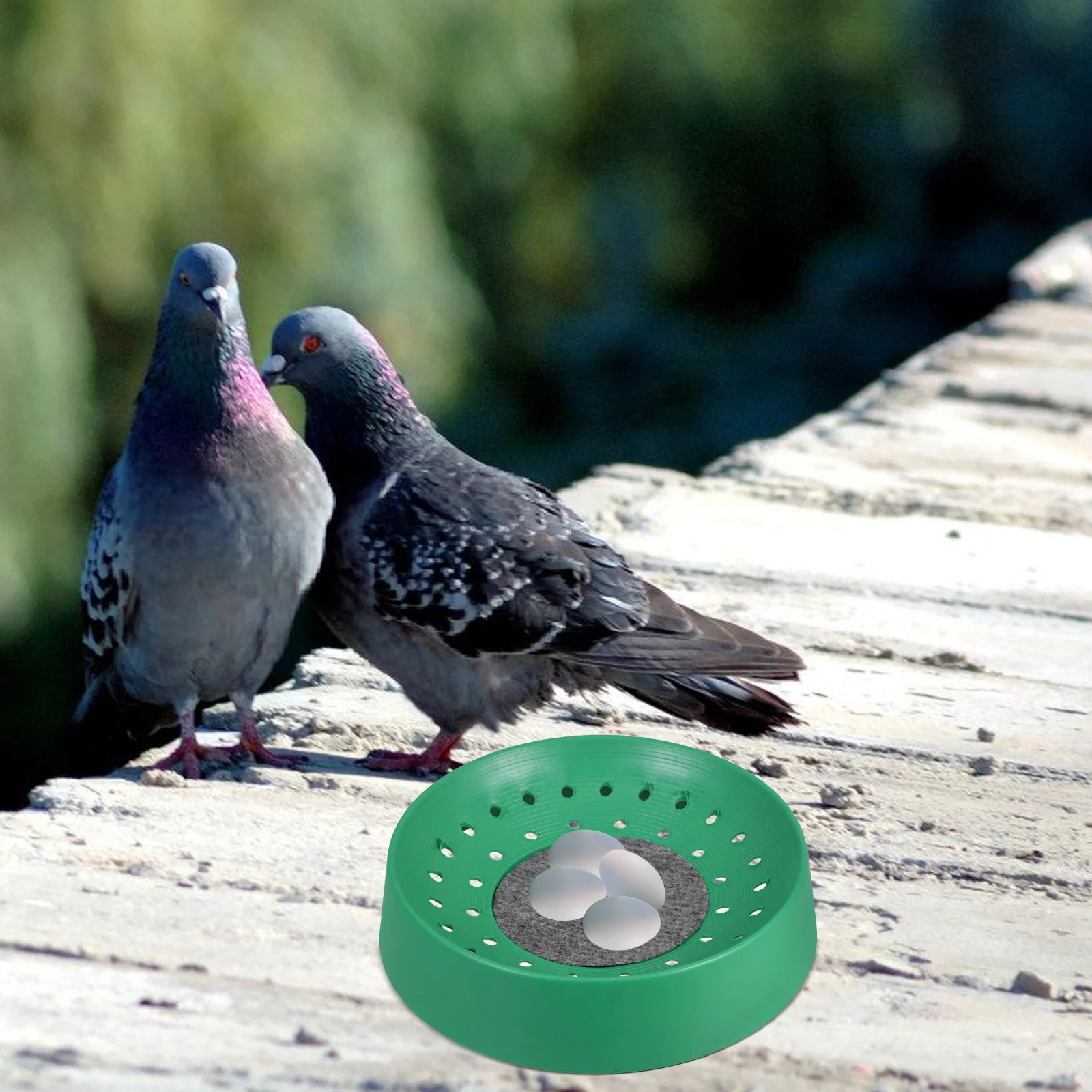 

6 Pcs Pigeon Egg Nest Pot Comfortable Reusable Plastic Bird Nesting Bowl Ideal Breeding Environment bowl bowls plastic
