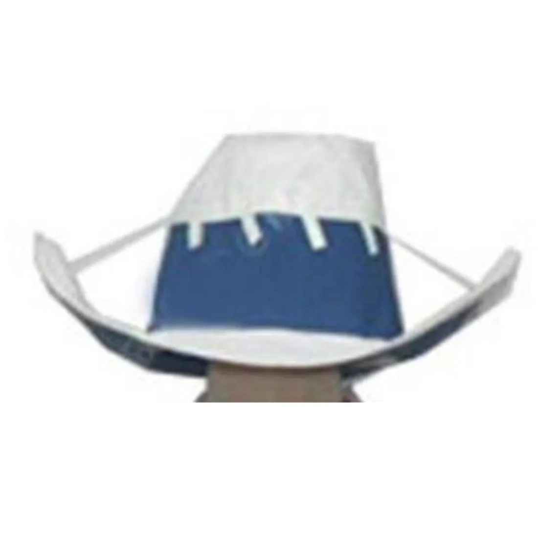 2024 Elizabeth Liz Thompson Cosplay Hat