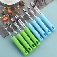 4 Pcs Stainless Steel Pear Green Dates Fruit Pitter 0.8/1/1.4/2cm Core Seed Remover For Cherry Hawthorn Corer Kitchen Gadgets