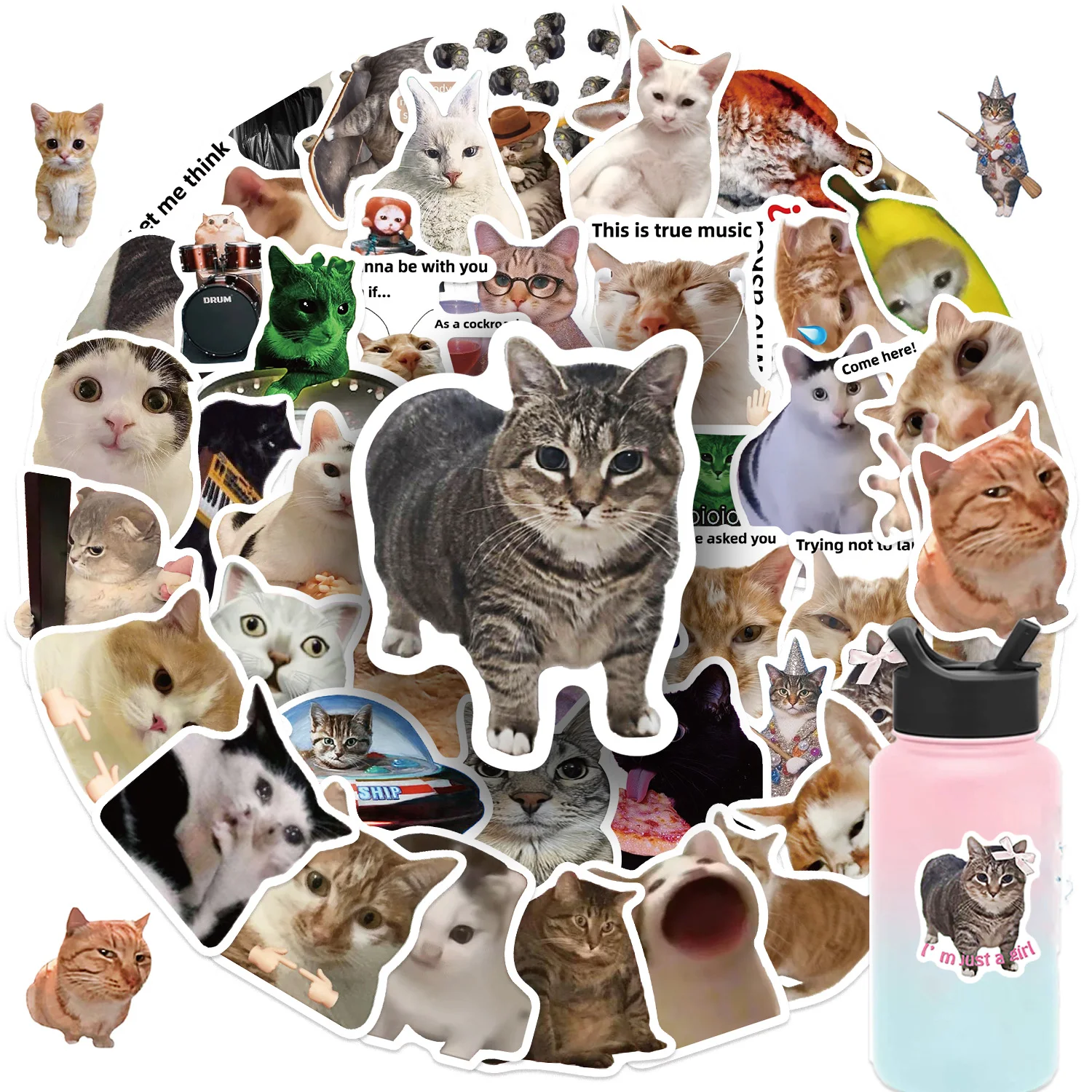 50pcs Cat Memes Collection Stickers Waterproof Vinyl Decals for Laptops Water Bottles Phones Skateboards Water Bottle Stickers