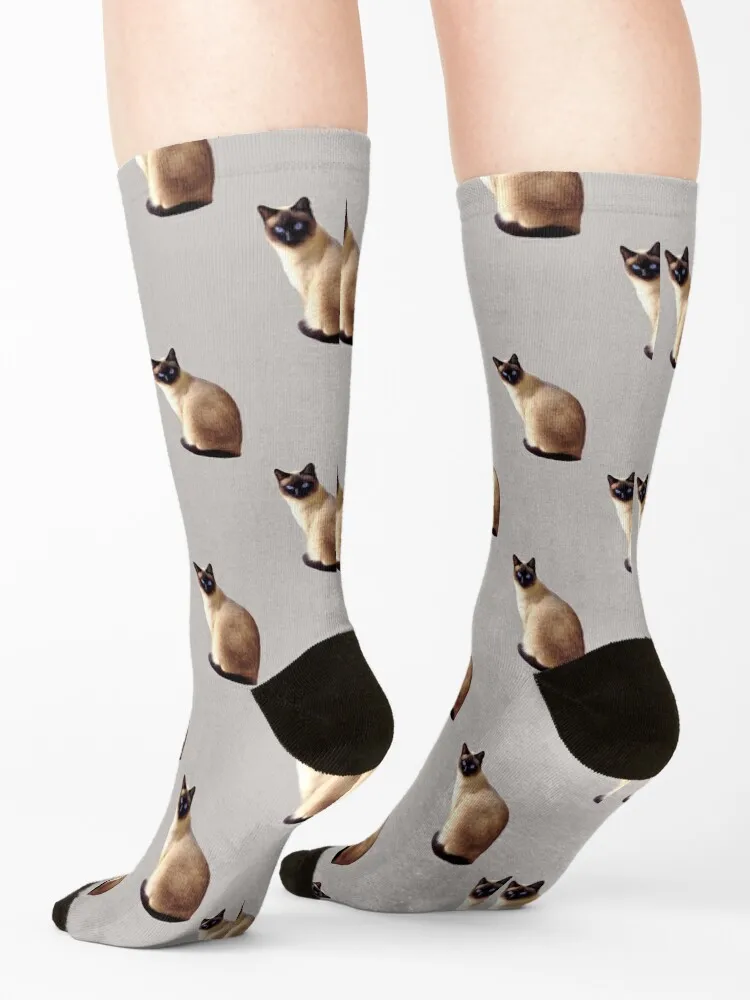 Suspicious Siamese Cat Colourful Repeating Pattern Socks heated tennis christmass gift Lots Man Socks Women's