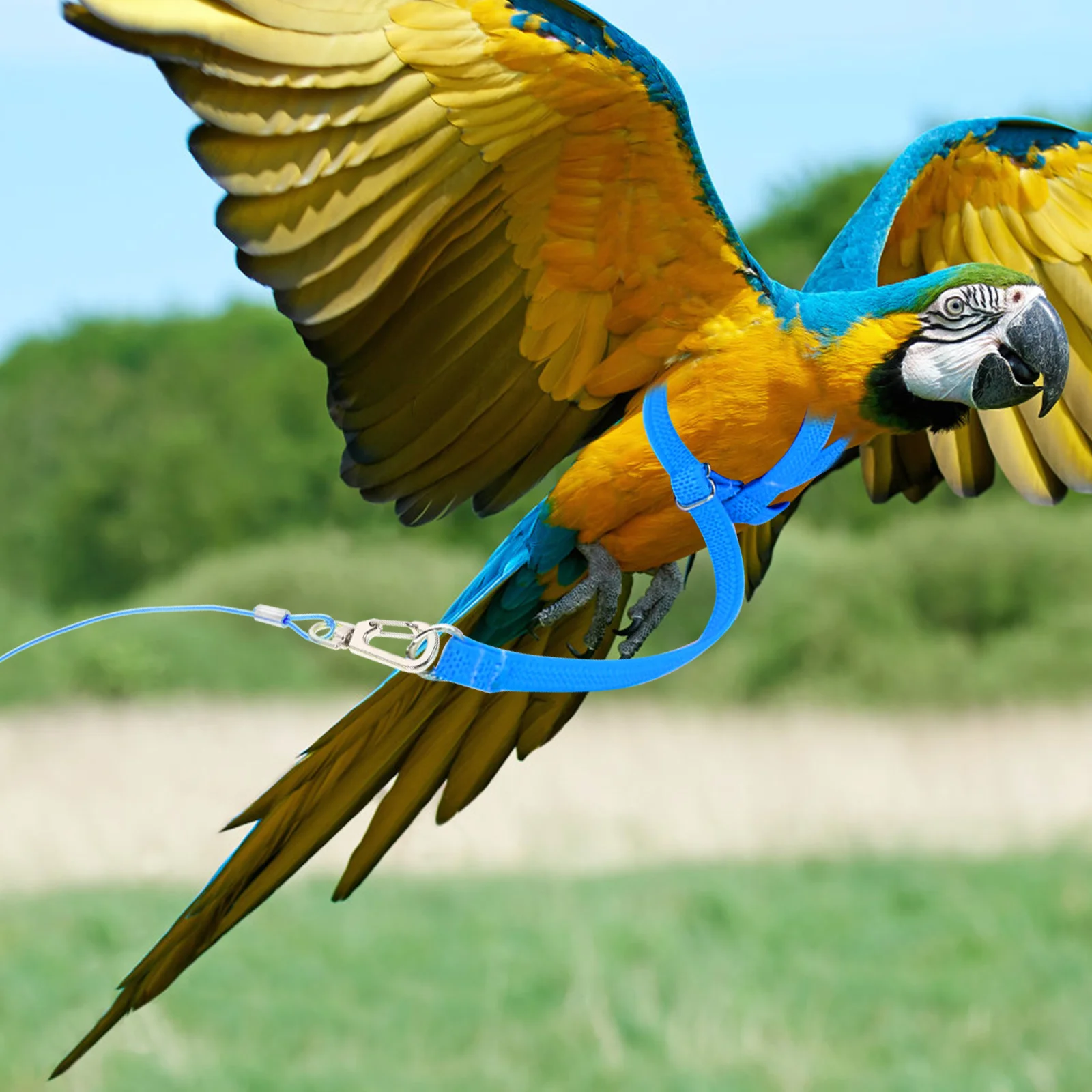 

2pcs Parrot Leash Plastic Flight Harness Adjustable Bird Supplies NonSlip Handle Pet Training Outdoor Clean Health Safe Material