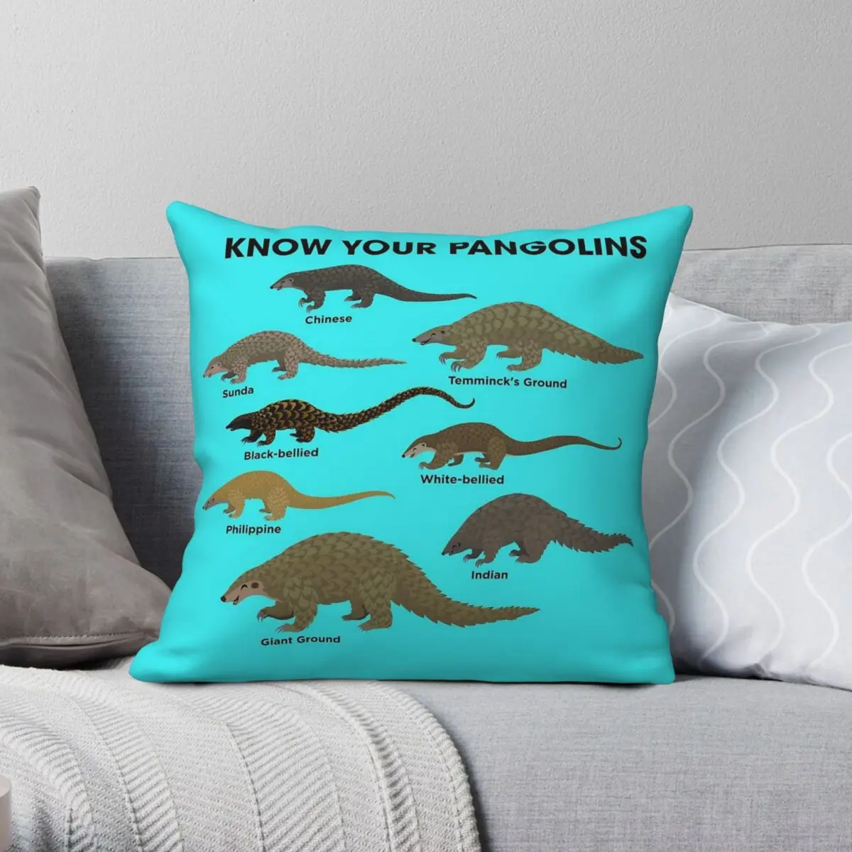 Know Your Pangolins Square Pillowcase Polyester Linen Velvet Pattern Zip Decor Room Cushion Cover Wholesale 45x45