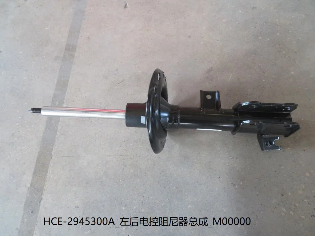 Fsd Front Shocking …