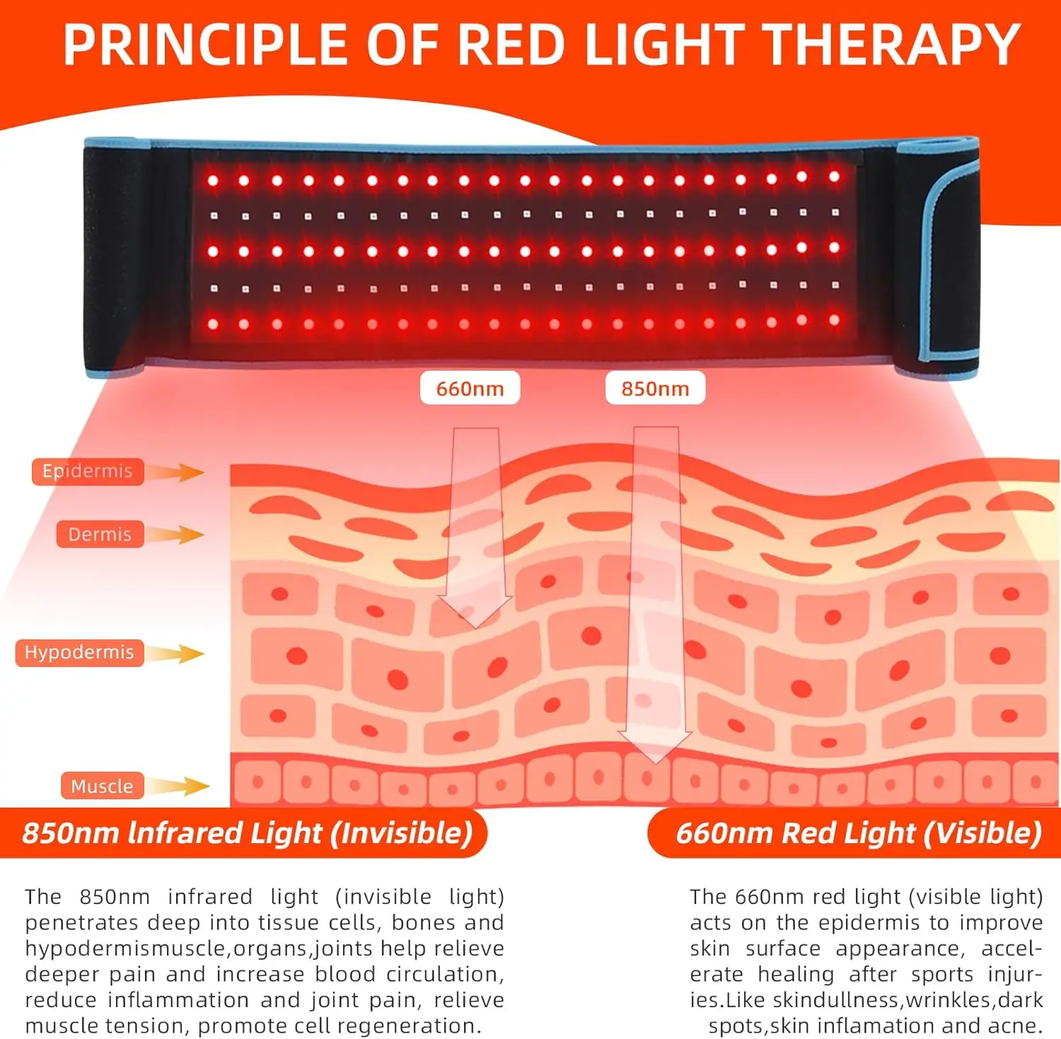 Upgraded Red & Infrared LED Light Therapy Belt 850nm 660nm Back Pain Relief Wrap Burn Fat Wrap Slimming Machine Waist Heat Pad