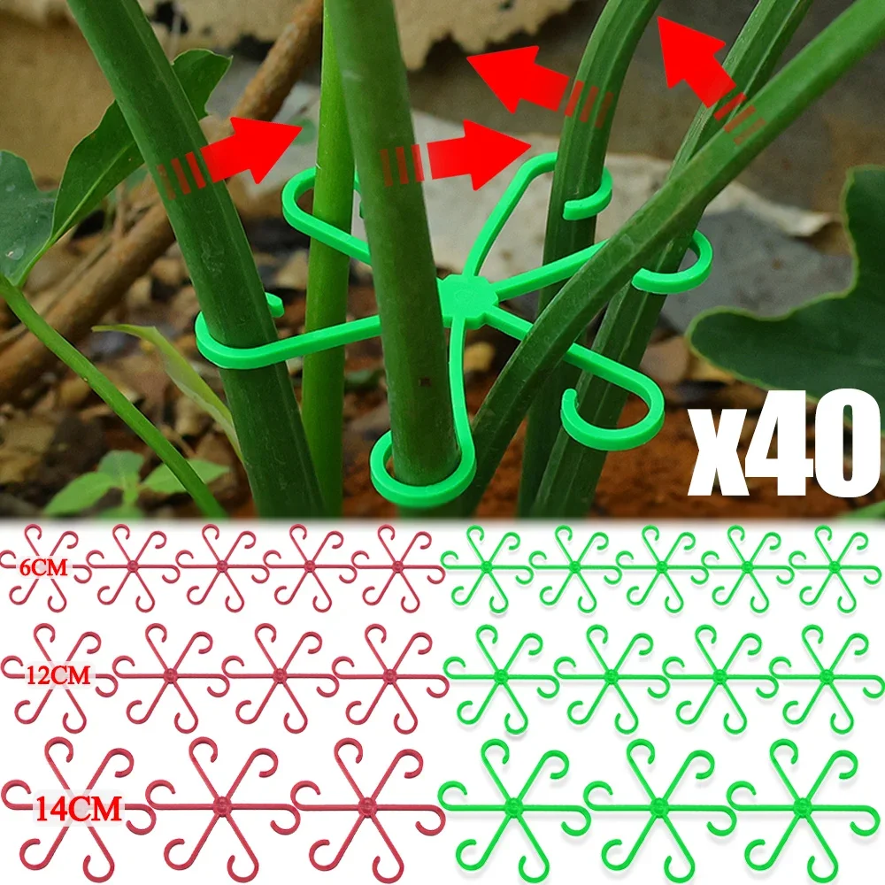 6 Hooks Plant Support Clamps 4 Sizes Monstera Planting Support Grippers Great  for Garden Flower Vine and Vegetable Holding Stem