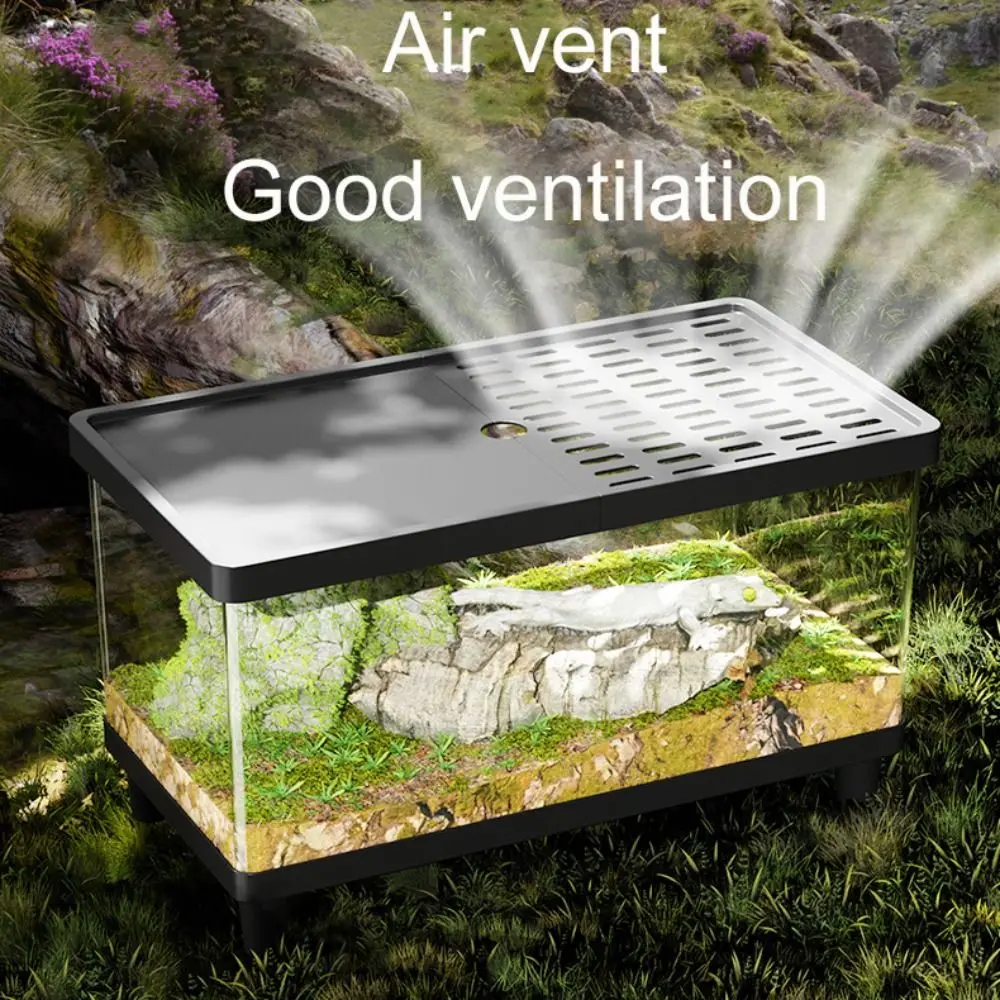 

Multifunctional Transparent Reptile Terrarium Visual Breathable Insect Observation Box with Cover Lizard Breeding Box Amphibians