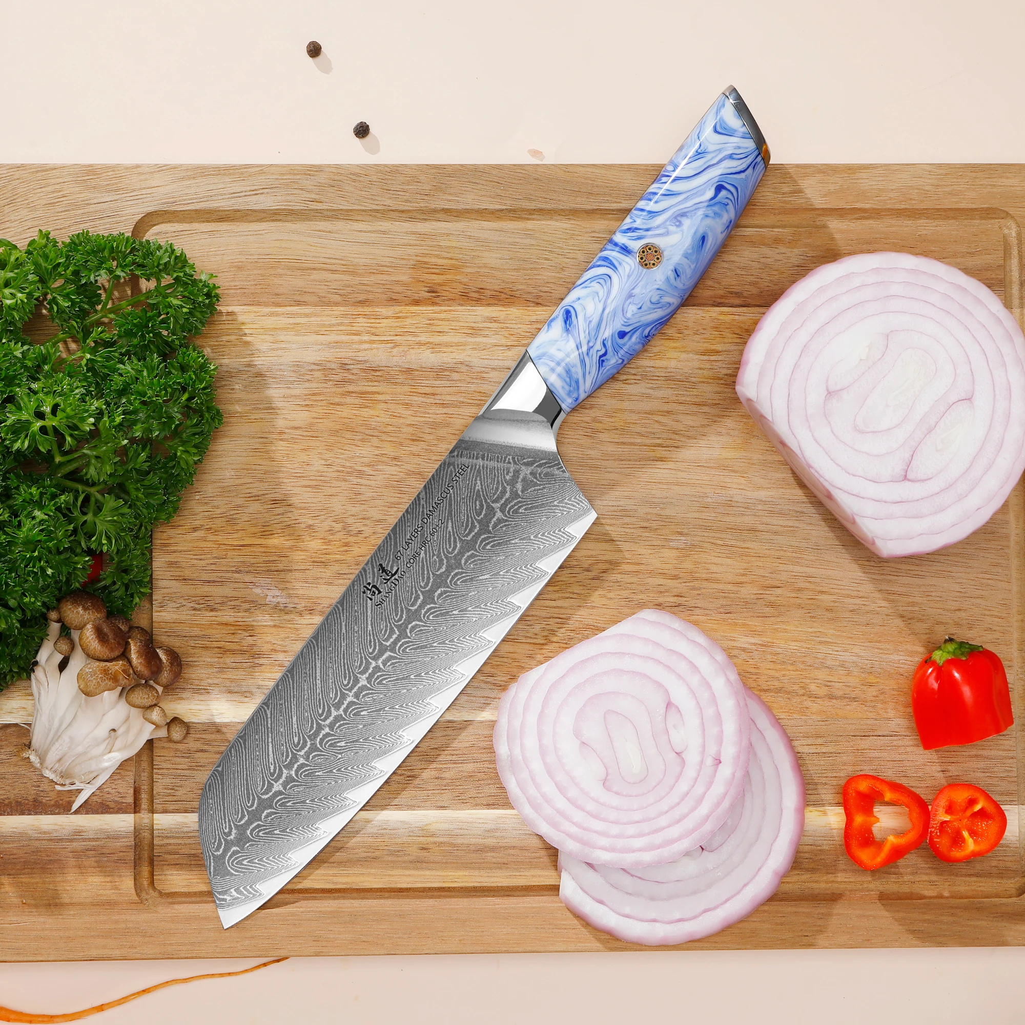 SHANGDAO High Performance 67 Layer Damascus Knife Set, Professional Kitchen Chef & Butcher Knife with Ergonomic Resin Handle