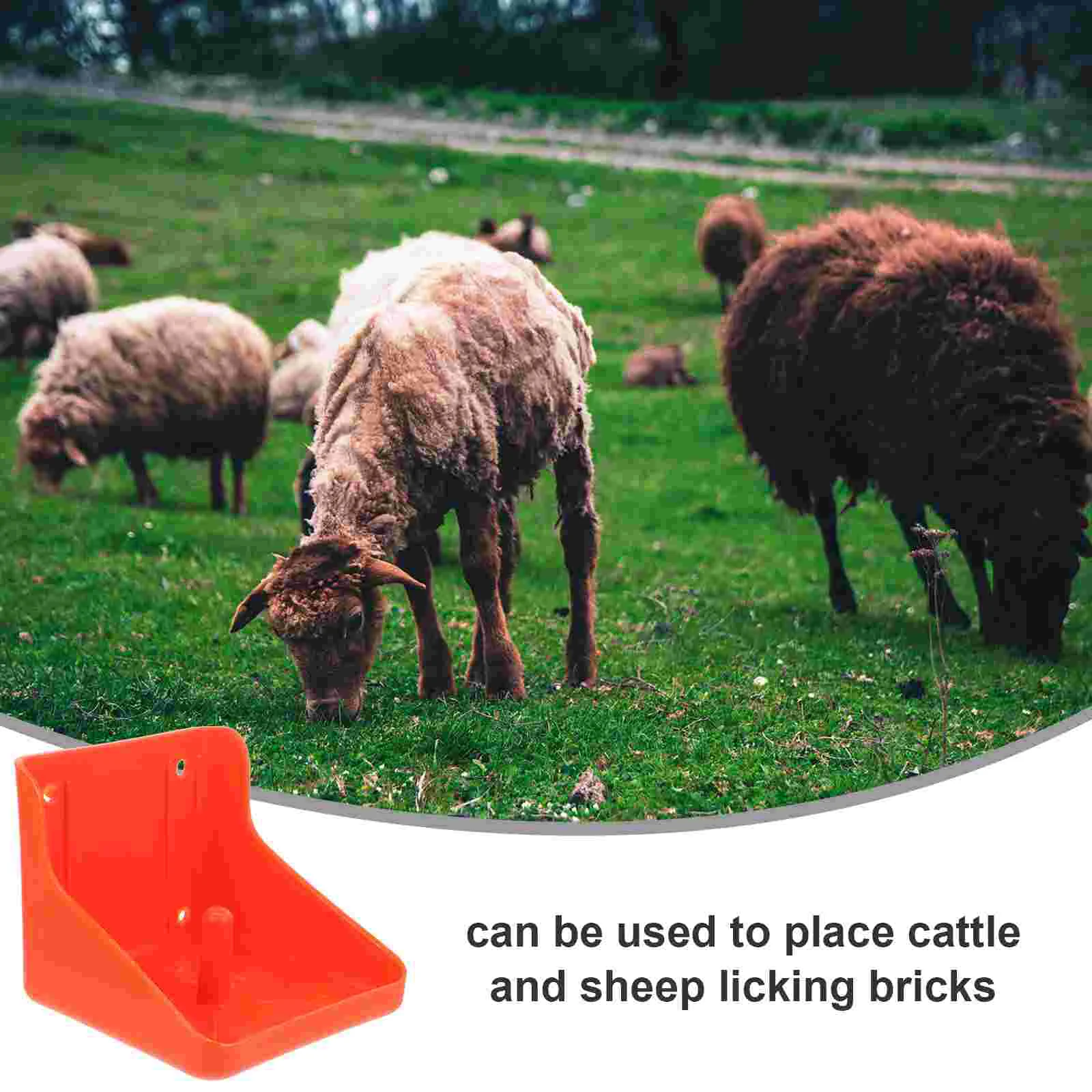 Lick Brick Box Salt Licking Container Cattle Feeder Mineral Block Bowl Livestock Water