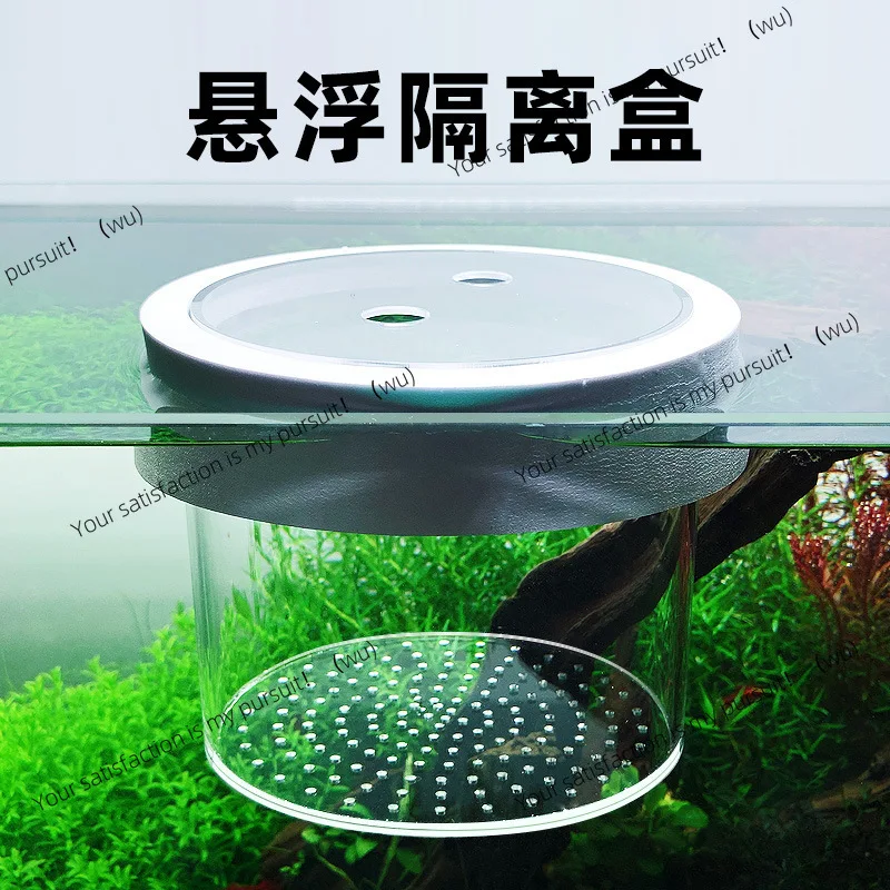 Cuttlefish floating isolation box acrylic suspended fish tank isolation feeding box fish egg isolation net incubation
