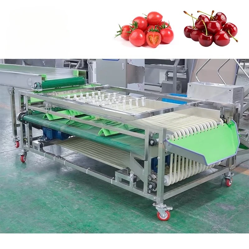 LONKIA Fresh Lemon Vegetable Fruit Size Sorting Machinery Grading Sorting Machine