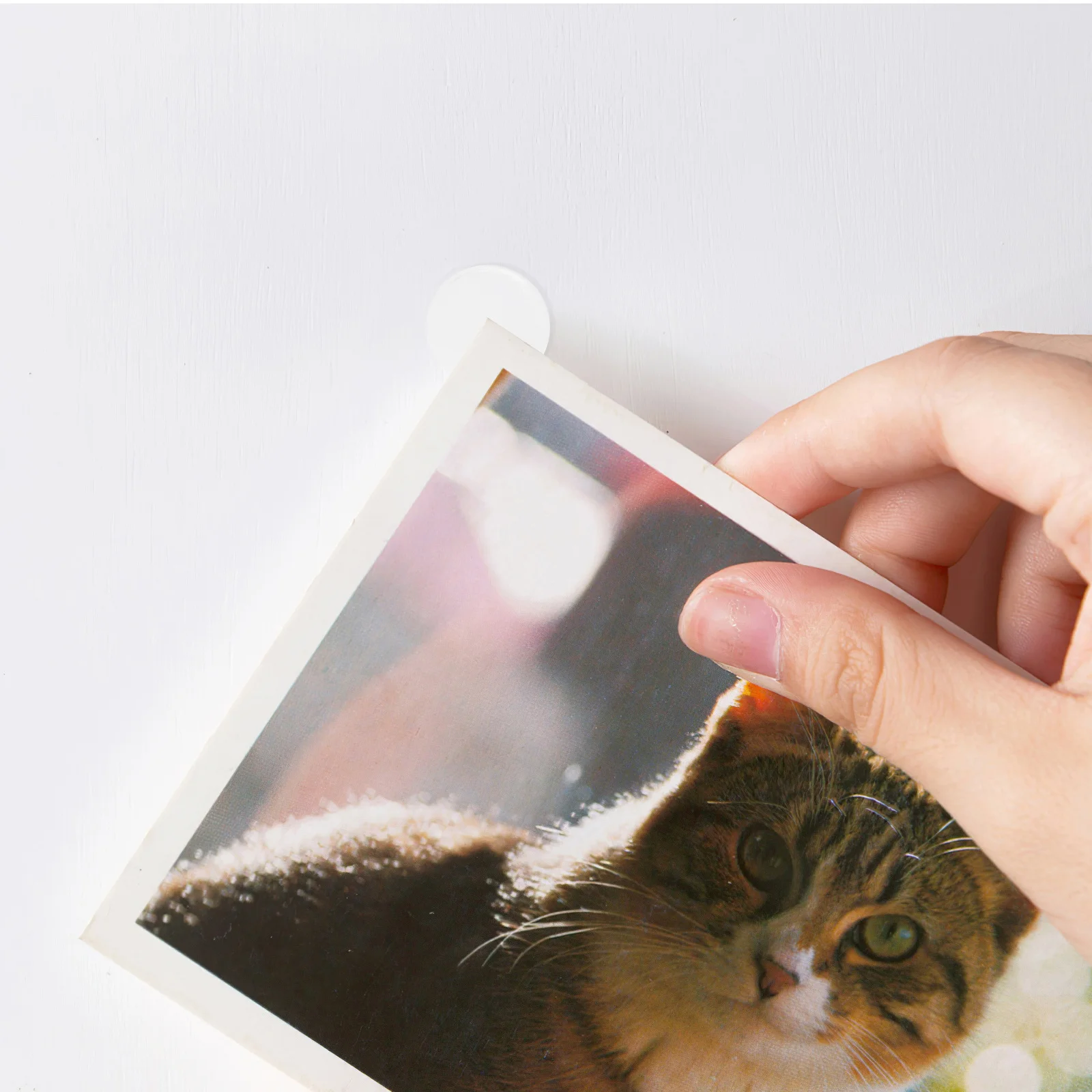 1Set Traceless Round Double Sided Adhesive Dots Clear Sticky Putty Removable Waterproof Sticker for Wall Craft