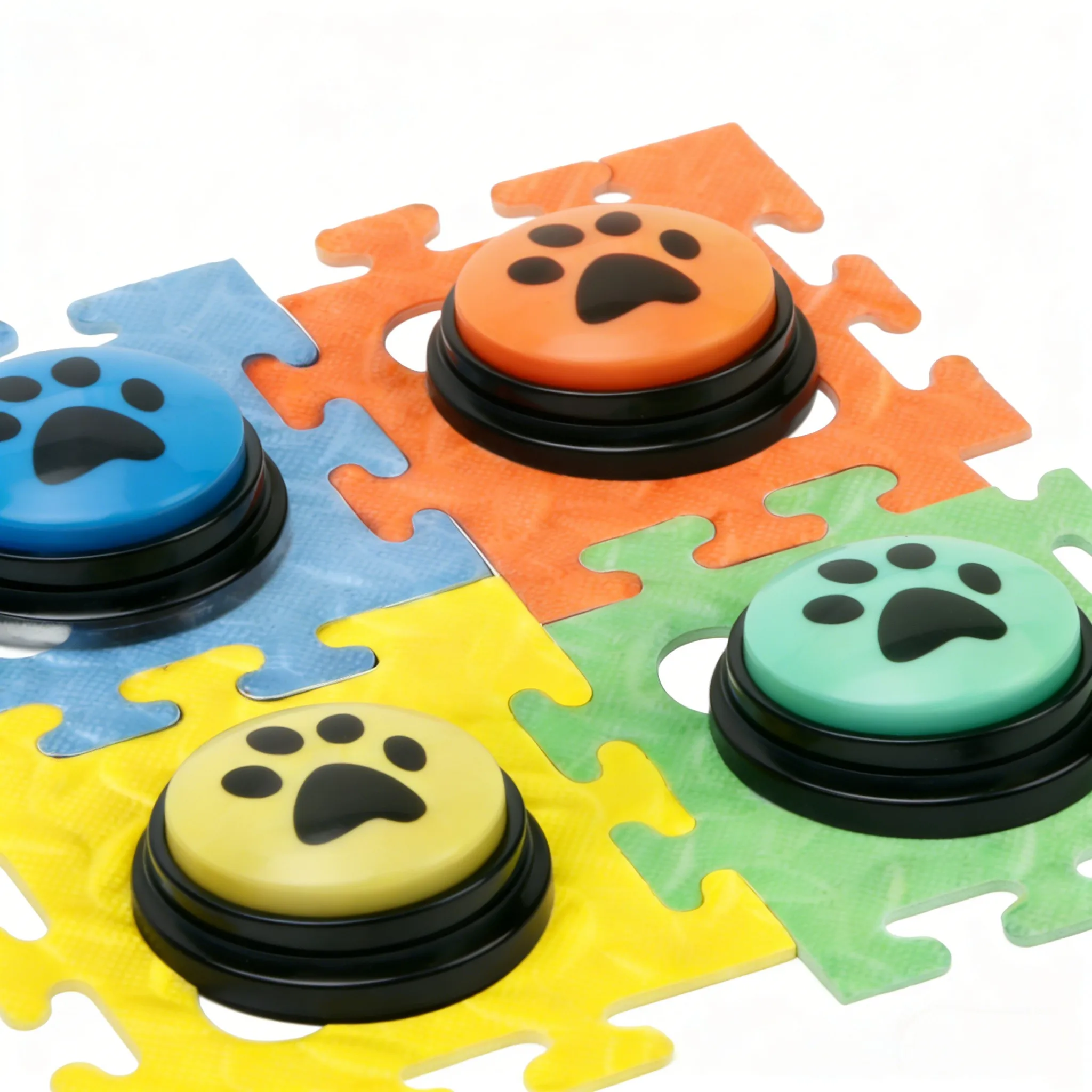 Pet Voice Record Buttons 3