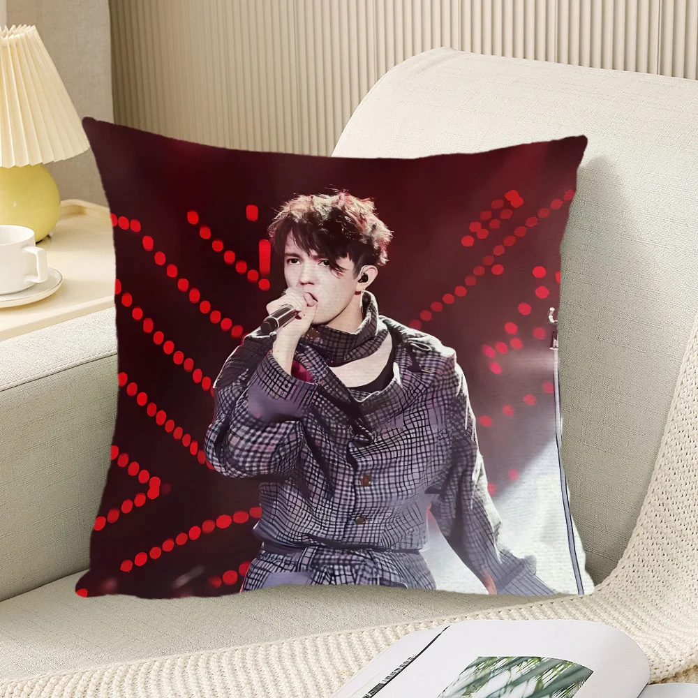 Male Singer Stage Performance Pillowcase, Concert Photo Cushion Cover, Red Light Decor for Sofa Bedroom Living Room