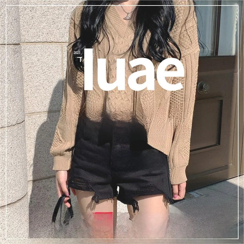 

New Knitted Sweater IUAE Autumn Winter Regular Sve Long round Ne ort Sle Commute Faion Ladies' Premium Knitwear