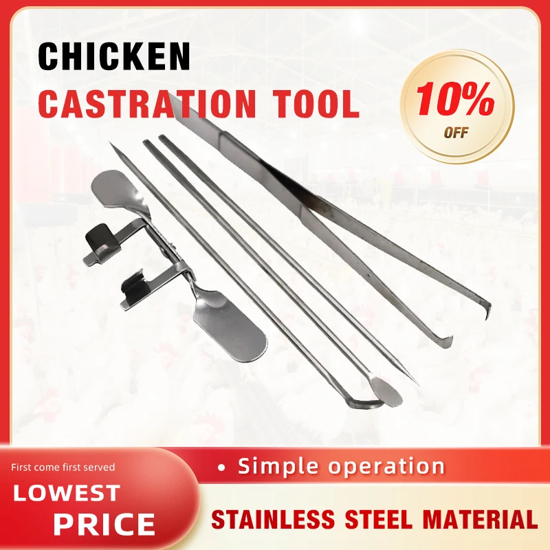 Chicken Castration Tool Stainless Steel Large Chicken Baby Chick Castration Cock Rooster  Five-Piece Set  Poultry Farm Tools New