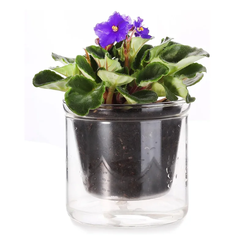 

4 Inch Self Watering Pot,African Violet Pot,Bottom Watering Glass Planter For Indoor Plants And Progagation
