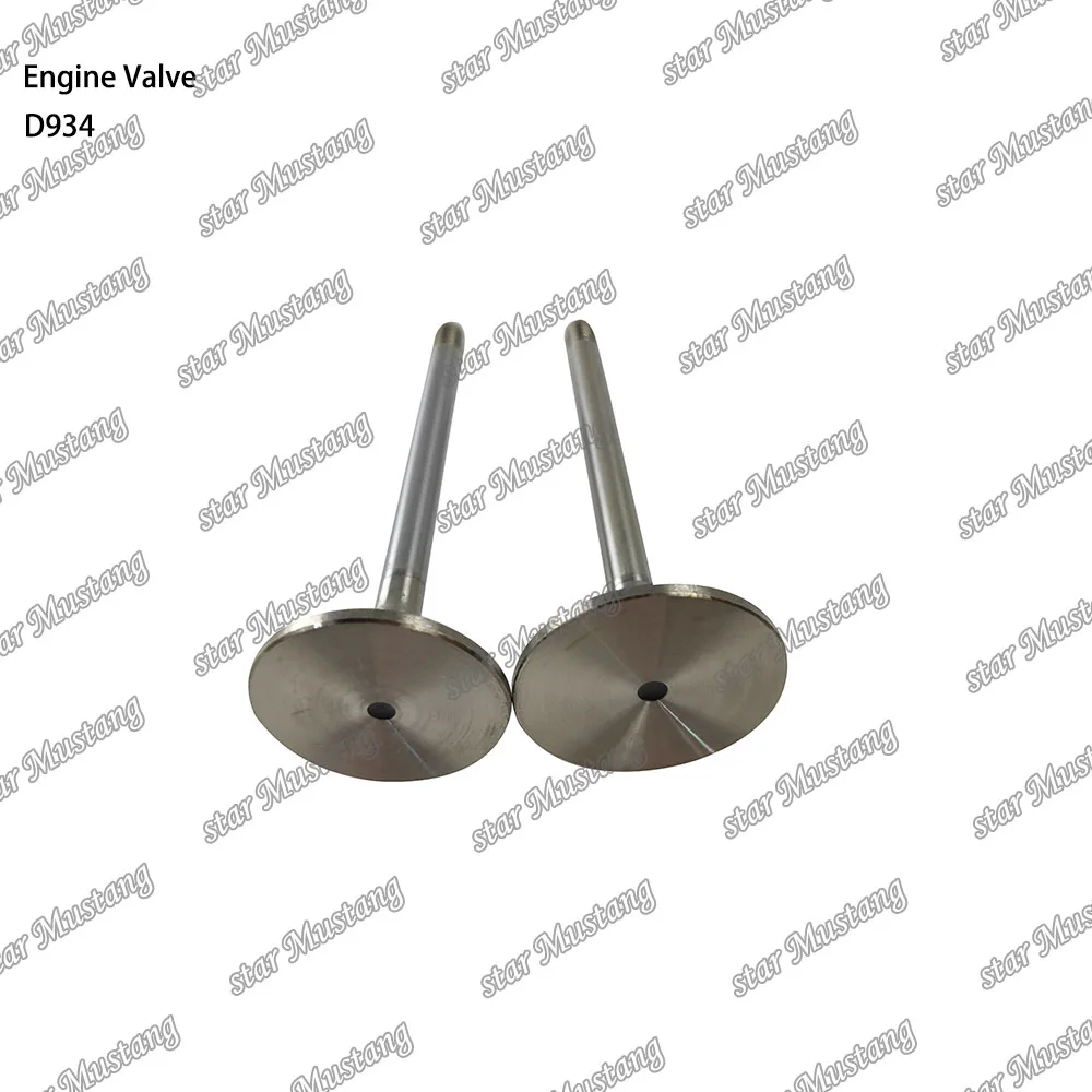 D934 Engine Valve Suitable For Liebherr Engine Parts