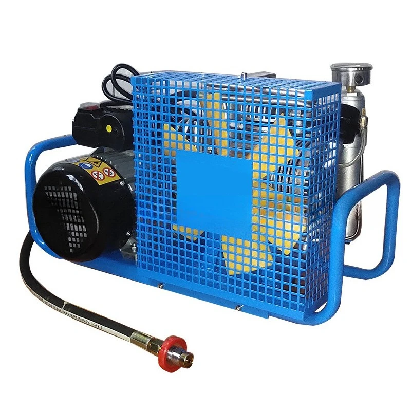 

30MPA air compressor, high pressure pump Marine cylinder compression inflator 100L