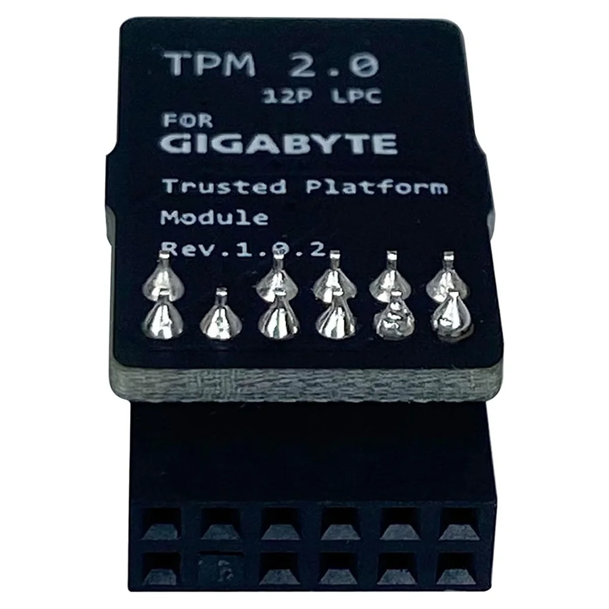 M09KTPM2.0 Module LPC 12Pin Module with Infineon SLB9665 Windows 11 Upgrade for Gigabyte Motherboard for GC-TPM2.0 S