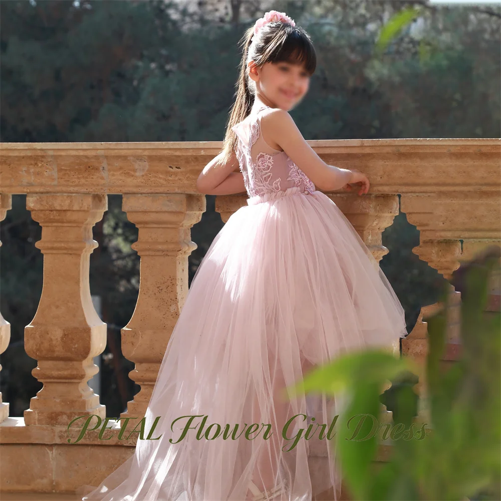 Petal Lace Embroidery Kids Birthday Party Dress High Low Train Pageant Dress for Girl Dusty Rose First Communion Gown Customized