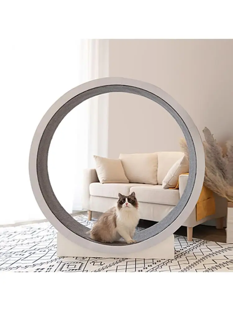 Running Wheel for Pet Cat Sports, Big Roller Runner, Cat Climbing Frame, Sports Equipment