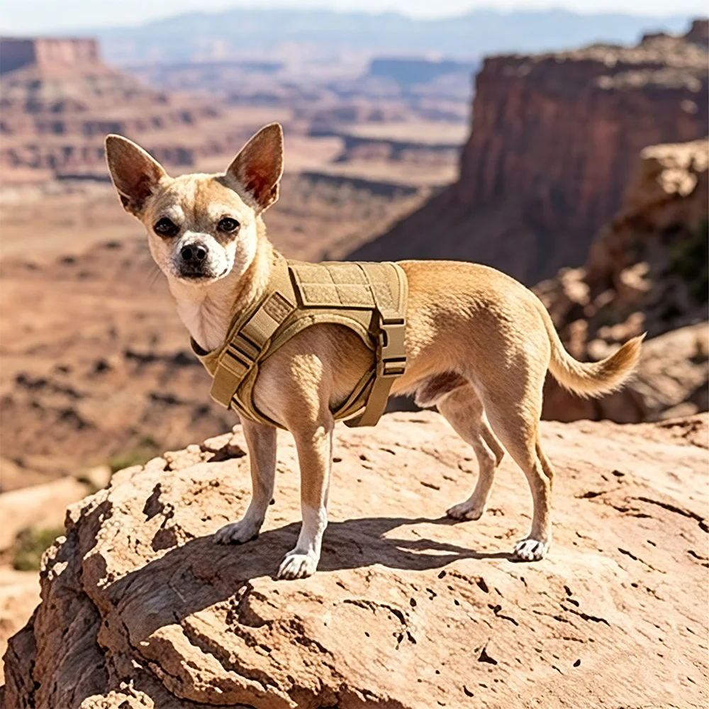 Tactical Harness Leash with 2 Patches Set Puppy Vest For Small Dogs Pet Harnesses Working Training Cats Accessories