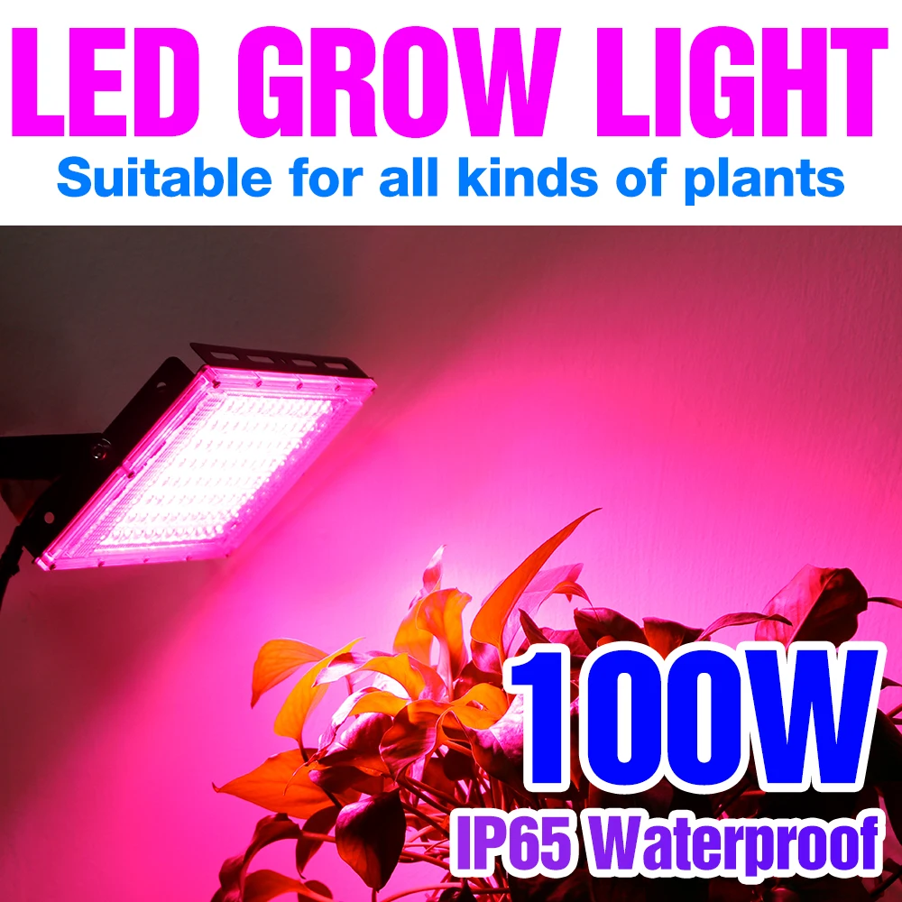 LED Grow Light Phyto Lamp Plant Light 220V 50W Phytolamp LED Full Spectrum Floodlight Greenhouse Lighting Hydroponic Plant Lamp