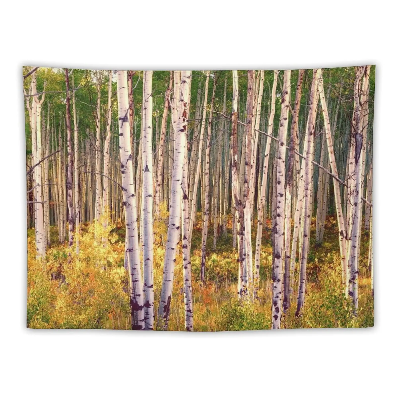 Aspen grove in autumn 1 Tapestry Room Decoration Accessories Wall Decoration Items Aesthetics For Room Cute Decor Tapestry